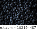 Frozen blueberries in dramatic light. Overhead view 102194487