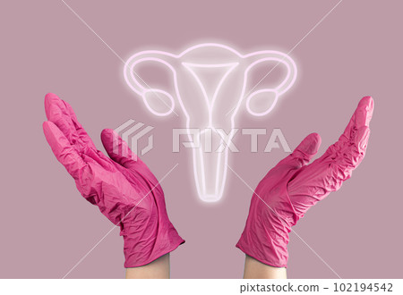 Womb organ diagnostic and health care concept 102194542