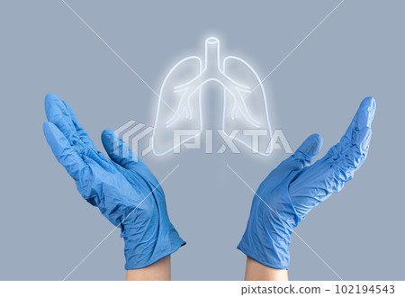 Lungs organ diagnostic and health care concept Lungs organ diagnostic and health care concept 102194543
