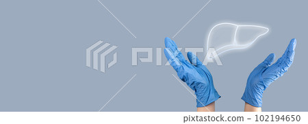 Liver organ diagnostic and health care concept. Liver organ diagnostic and health care concept. 102194650