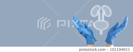 Kidneys and bladder organ diagnostic and health care concept. 102194651