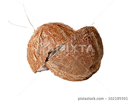 Coconut. Halved cut pieces, broken split coco nut fruit with brown shell isolated on white background Coconut. Halved cut pieces, broken split coco nut fruit with brown shell isolated on white background 102195501