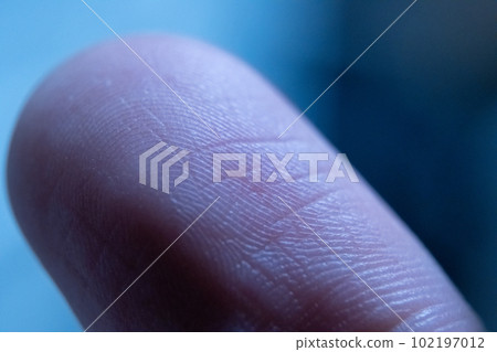 fingertip fingerprint 102197012