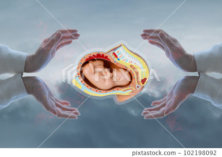 Supporting the health and development of the human embryo. Supporting the health and development of the human embryo. 102198092