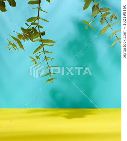 Green branch of eucalyptus on a blue yellow paper background. Scene for advertising and displaying products, cosmetics 102198160
