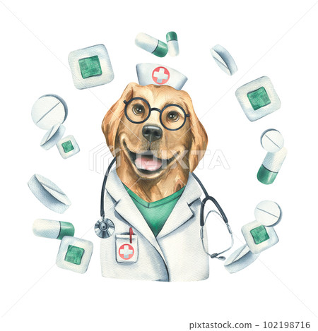 Dog doctor in glasses with a stethoscope, in a medical uniform with adhesive plasters and pills. Watercolor illustration, hand drawn. Isolated composition on a white background. For clinics, hospitals 102198716
