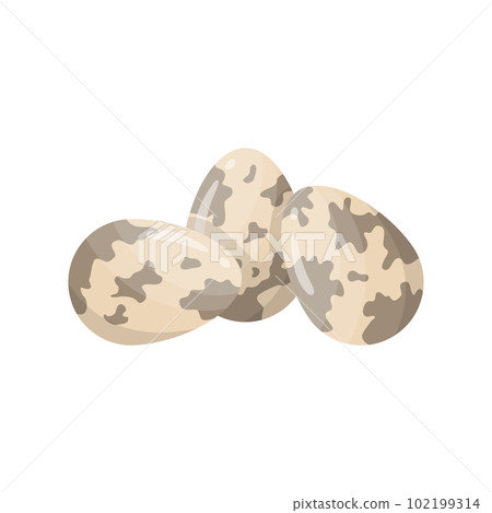 Cartoon Color Whole Quail Egg Set Concept Flat Design Style . Vector illustration of Eggs Cartoon Color Whole Quail Egg Set Concept Flat Design Style . Vector illustration of Eggs 102199314