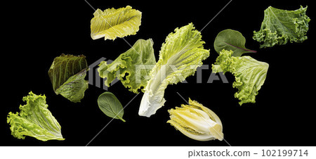 Falling salad leaves isolated on black background Falling salad leaves isolated on black background 102199714
