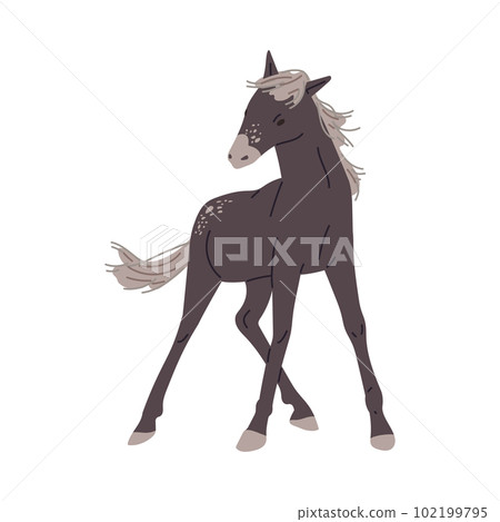 Horse or foal with mane fluttering in the wind flat vector illustration isolated. Horse or foal with mane fluttering in the wind flat vector illustration isolated. 102199795
