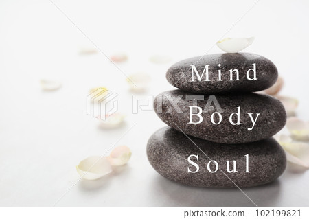 Stones with words MIND, BODY, SOUL and petals on light background, space for text. Zen lifestyle 102199821