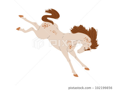 Thoroughbred racing horse or mustang jumping, flat vector illustration isolated. Thoroughbred racing horse or mustang jumping, flat vector illustration isolated. 102199856