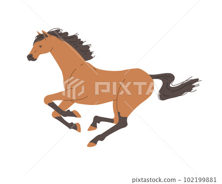 Racing horse profile view, flat vector illustration isolated on background. Racing horse profile view, flat vector illustration isolated on background. 102199881