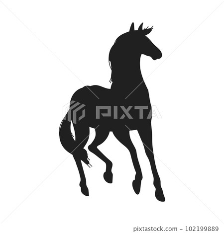 Thoroughbred horse frisky in running silhouette vector illustration isolated. Thoroughbred horse frisky in running silhouette vector illustration isolated. 102199889