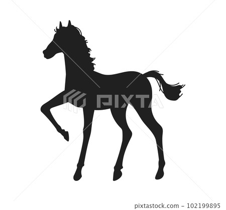 Horse foal black silhouette, flat vector illustration isolated on white background. 102199895