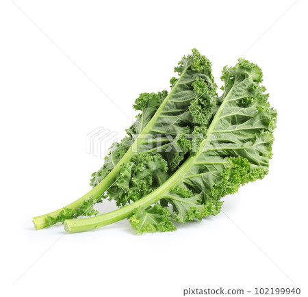 Fresh green kale leaves isolated on white 102199940
