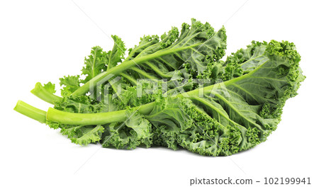 Fresh green kale leaves isolated on white 102199941