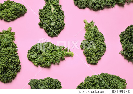 Fresh kale leaves on pink background, flat lay Fresh kale leaves on pink background, flat lay 102199988