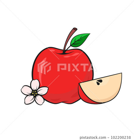 Red apple still life illustration. Whole apple, slice and flower composition. Red apple still life illustration. Whole apple, slice and flower composition. 102200238