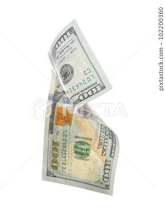 Dollar banknote isolated on white. Flying money Dollar banknote isolated on white. Flying money 102200360