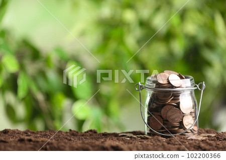 Coins on soil against blurred background, space for text. Money savings 102200366