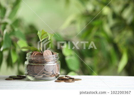 Coins and green sprout on white wooden table against blurred background, space for text. Money savings 102200367