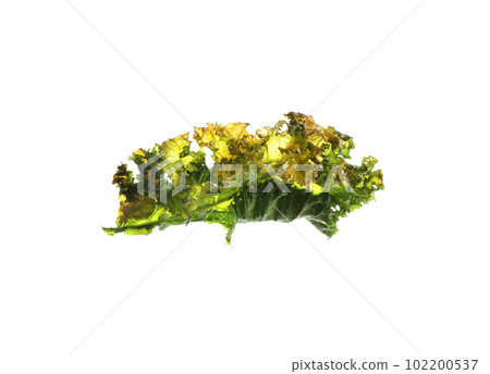 Tasty baked kale chip isolated on white 102200537