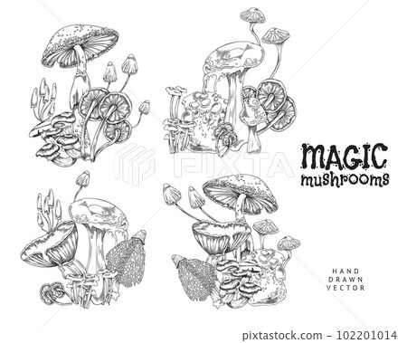 Magic fairy tail poisonous mushrooms set engraved vector illustration isolated. 102201014