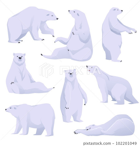 Polar bear in various poses set of animals, flat vector illustration isolated. 102201049