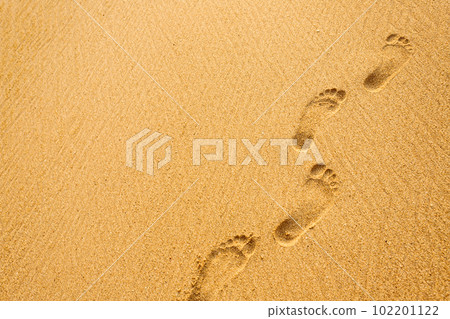 Footprints in the sand at sunset time 102201122