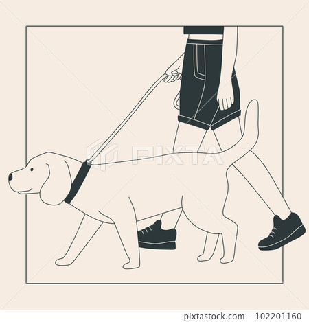 Young woman in shorts with a big dog on a leash. Cute labrador on a walk. Dog show or dog walking in the city or in the park. Vector flat contour graphics. 102201160
