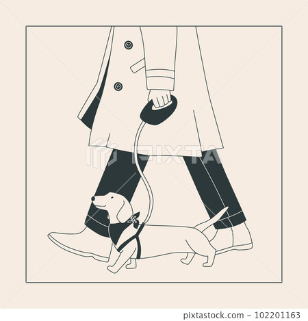 A man in a coat with a small dog on a leash. Cute dachshund for a walk. Dog show or dog walking in the city or in the park. Vector flat contour graphics. 102201163