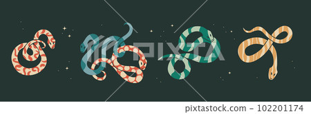 Cute twisted snakes with an abstract print inside. Flat vector illustration for design. 102201174