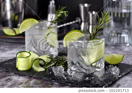 Cocktail Cucumber Gin Tonic 102201713