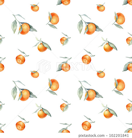 Seamless watercolour citrus fruits and leaves pattern. Green leaves and orange fruits on white background. Seamless mandarin and oranges watercolour illustration 102201841