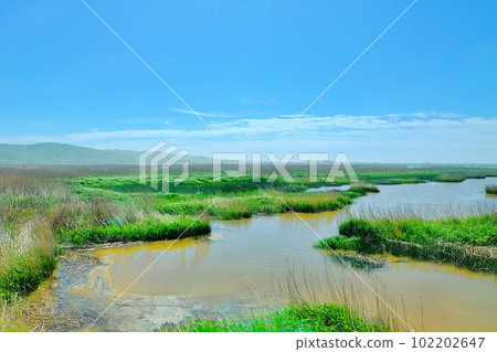 Kinashibetsu Marsh (Ombetsu-cho, Kushiro City, Hokkaido) 102202647