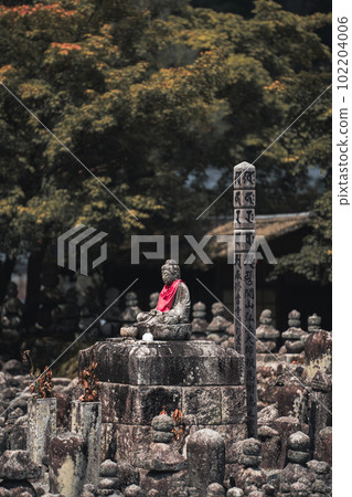 Kyoto Adashino Nenbutsuji Temple Sainokawara 102204006