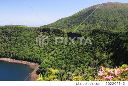 The summit of Onami Pond, where cute Miyama Kirishima blooms The summit of Onami Pond, where cute Miyama Kirishima blooms 102206142