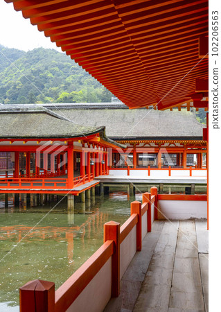 嚴島神社禮拜堂和原殿 嚴島神社禮拜堂和原殿 102206563