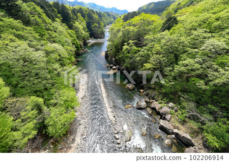Kinu Kureiwa Large Suspension Bridge 102206914