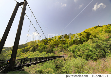 Kinu Kureiwa Large Suspension Bridge 102207121