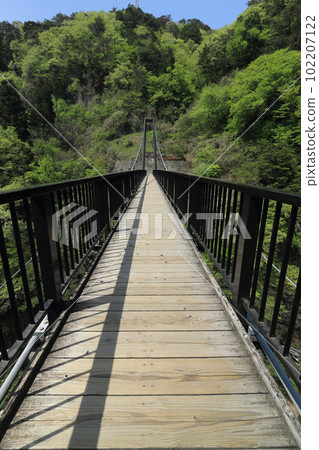 Kinu Kureiwa Large Suspension Bridge 102207122