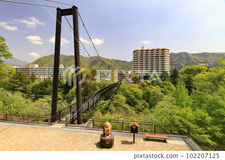 Kinu Kureiwa Large Suspension Bridge 102207125