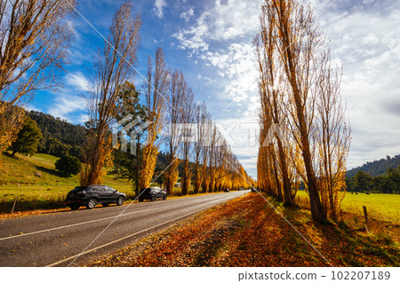 Gould Memorial Drive in Marysville in Australia Gould Memorial Drive in Marysville in Australia 102207189