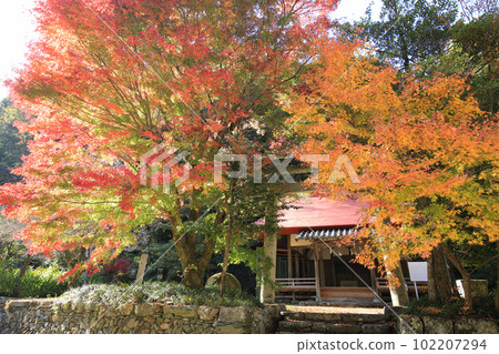 愛媛縣東部町秋川富神社 102207294