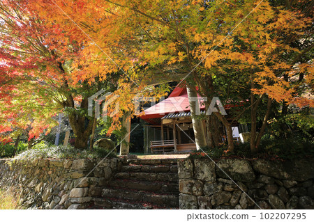 愛媛縣東部町秋川富神社 愛媛縣東部町秋川富神社 102207295