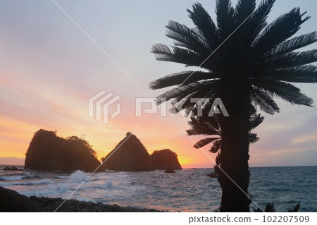 Sebama Beach Sotetsu and Sanshiro Island 102207509