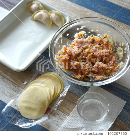 “餃子、種子和皮膚” 102207860