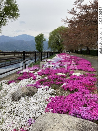 安曇野之春 安曇野之春 102208484