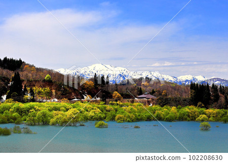 The submerged forest of Lake Shirakawa Mysterious sight The submerged forest of Lake Shirakawa Mysterious sight 102208630