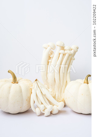 Monochromatic still life of vegetables. Little pumpkin and beech mushrooms on white. Monochromatic still life of vegetables. Little pumpkin and beech mushrooms on white. 102209422